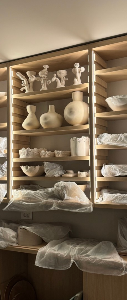 Drying Shelves